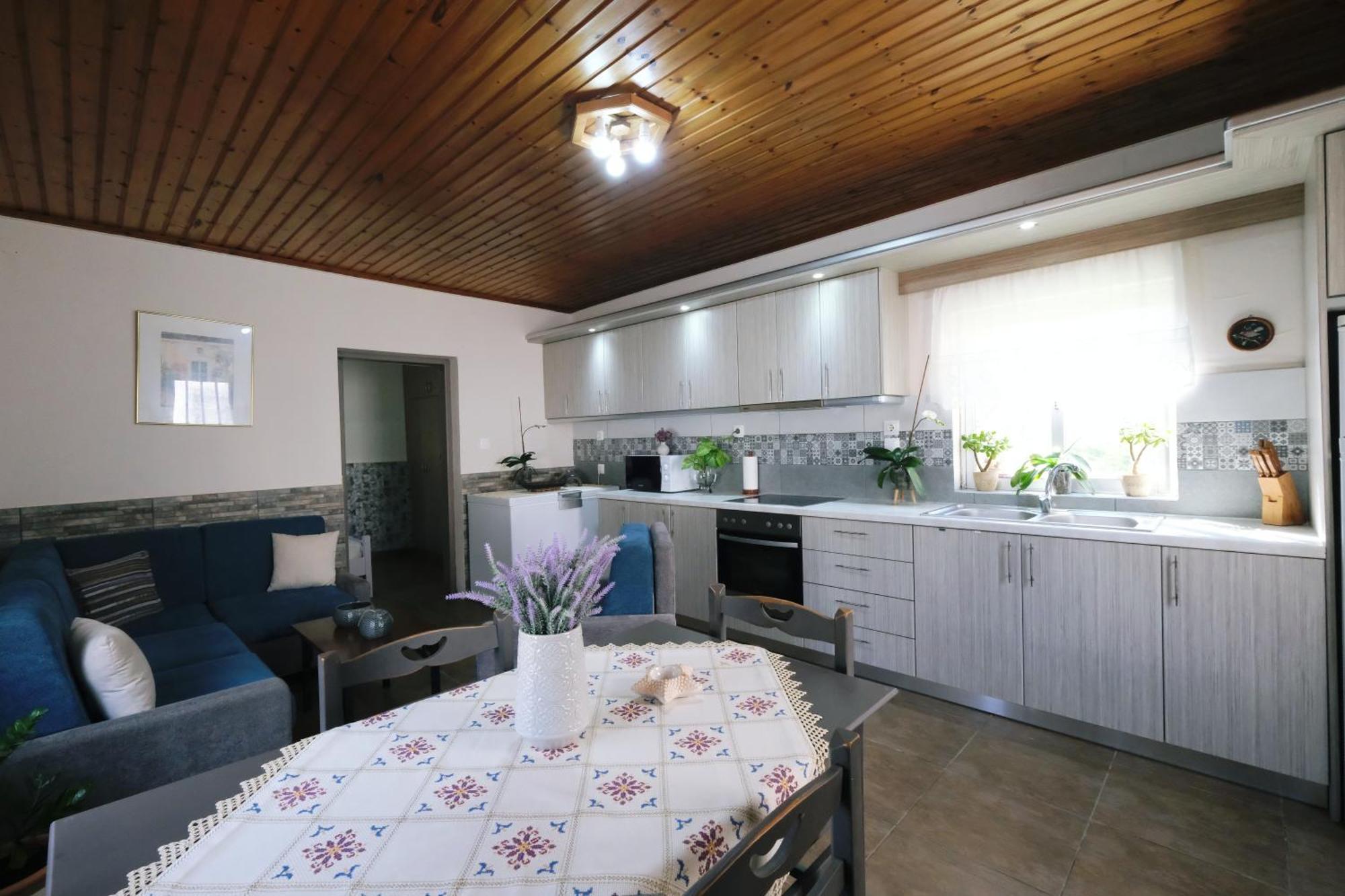 Repanidi Apartment D / Ρεπανίδι Διαμέρισμα Δ Repanidhion Esterno foto