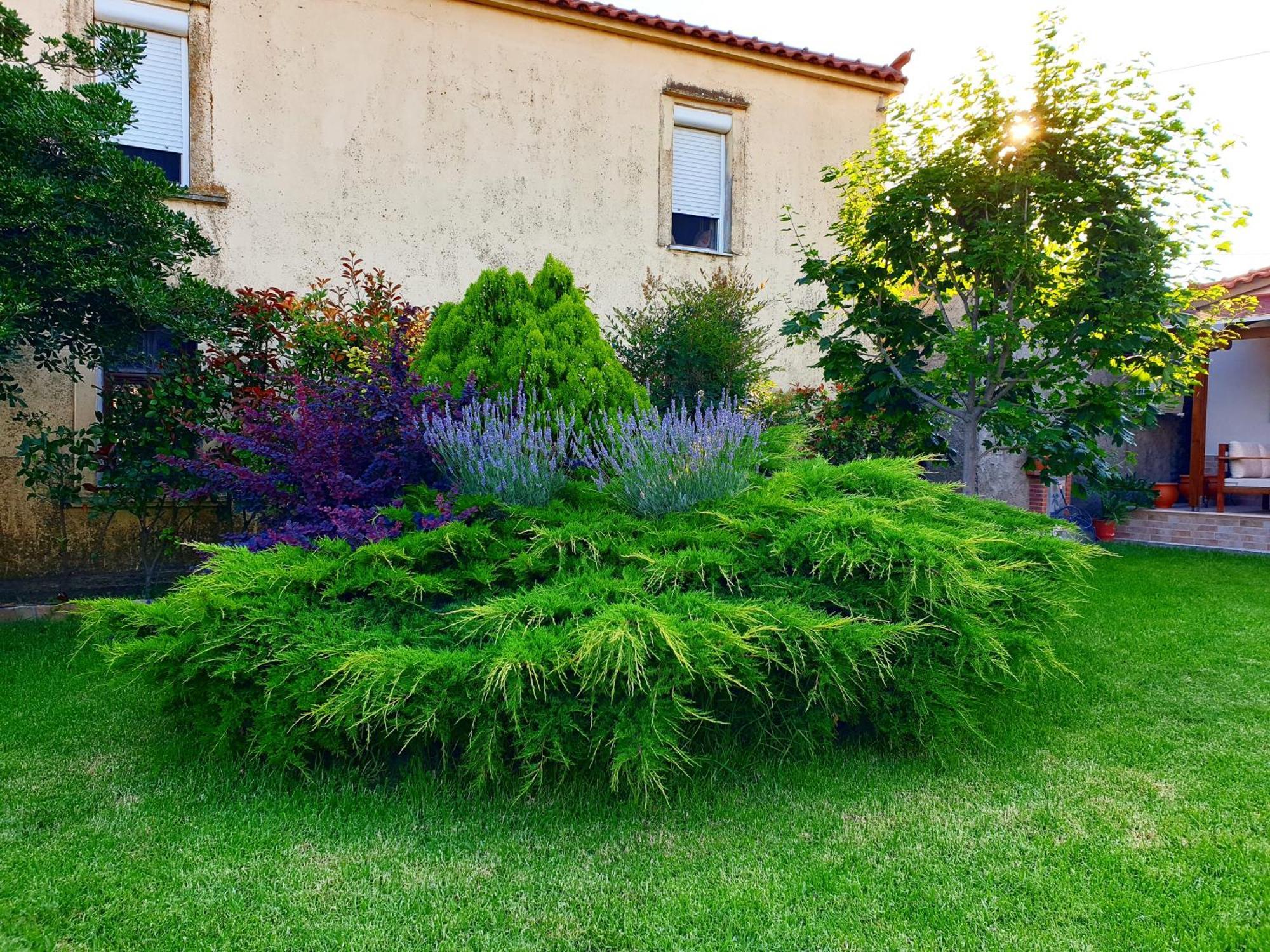 Repanidi Apartment D / Ρεπανίδι Διαμέρισμα Δ Repanidhion Esterno foto