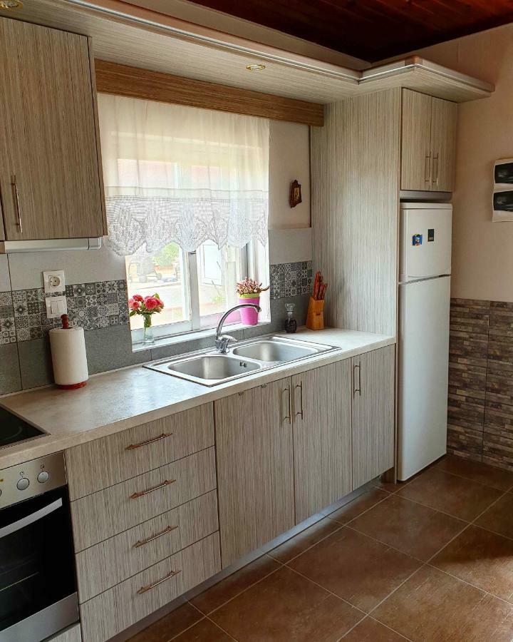 Repanidi Apartment D / Ρεπανίδι Διαμέρισμα Δ Repanidhion Esterno foto