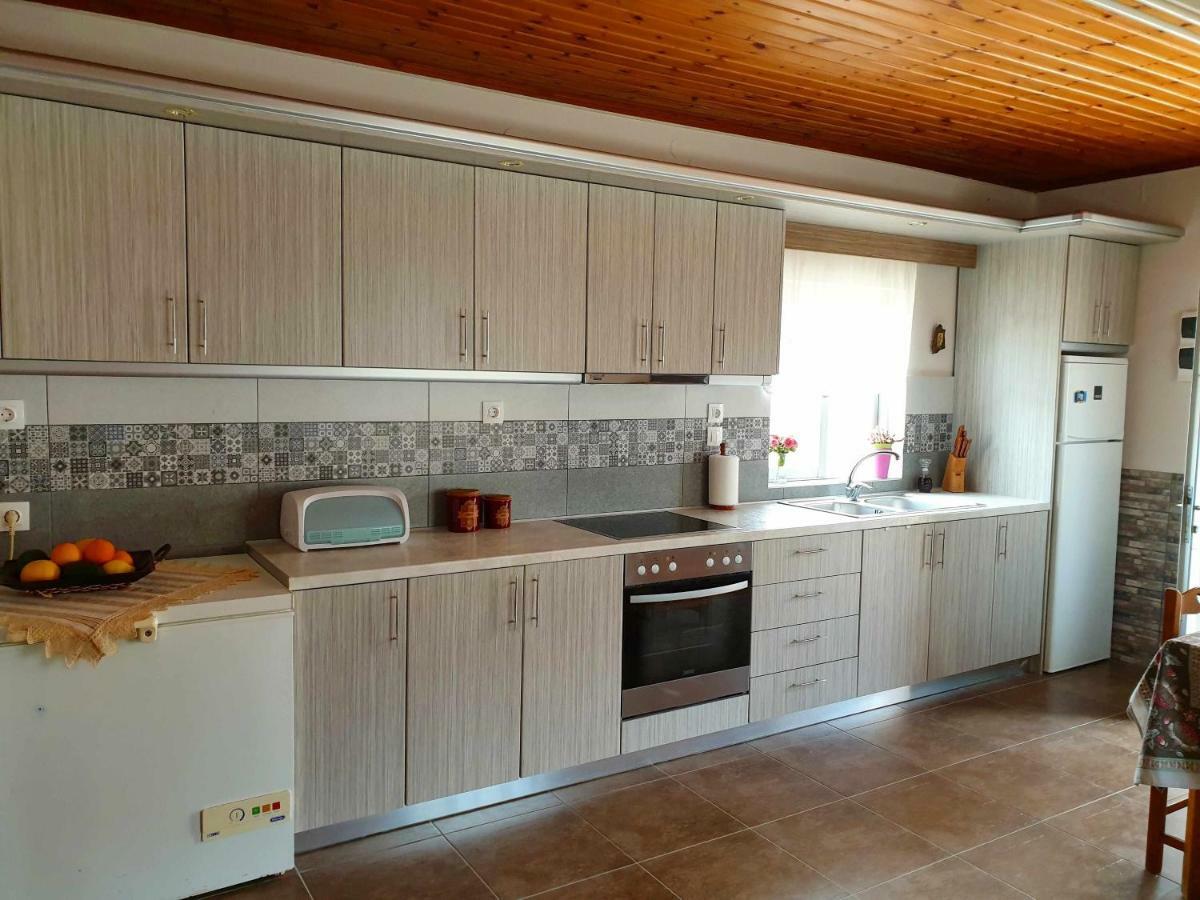 Repanidi Apartment D / Ρεπανίδι Διαμέρισμα Δ Repanidhion Esterno foto