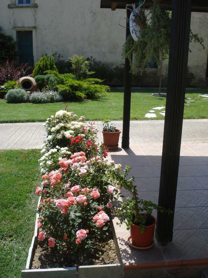Repanidi Apartment D / Ρεπανίδι Διαμέρισμα Δ Repanidhion Esterno foto