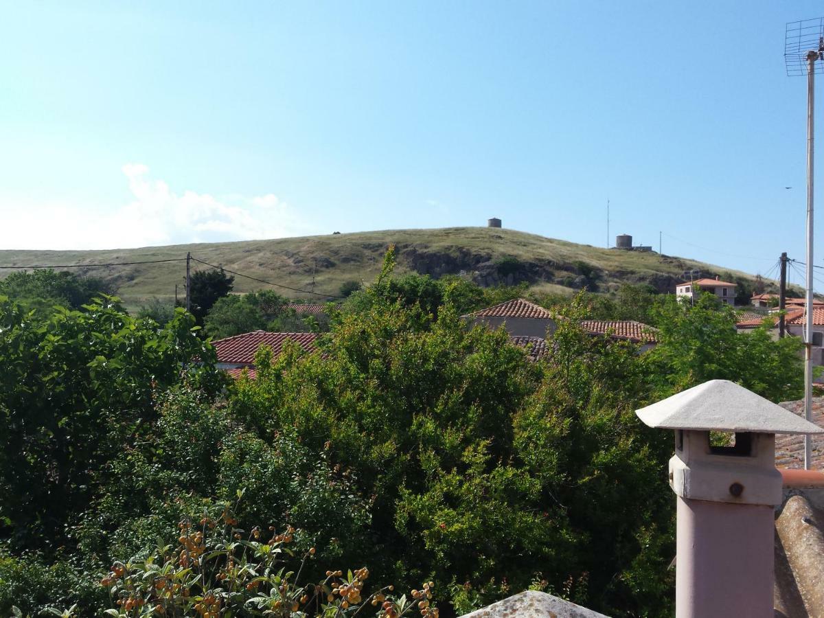Repanidi Apartment D / Ρεπανίδι Διαμέρισμα Δ Repanidhion Esterno foto