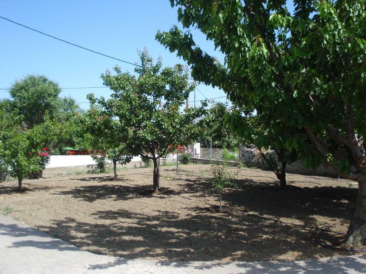 Repanidi Apartment D / Ρεπανίδι Διαμέρισμα Δ Repanidhion Esterno foto