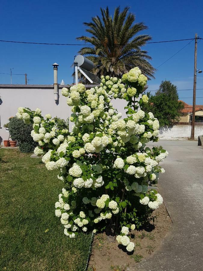 Repanidi Apartment D / Ρεπανίδι Διαμέρισμα Δ Repanidhion Esterno foto